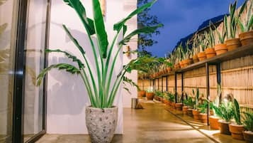 Jardines del alojamiento