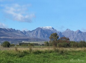 Land view from property - Ross Farms (Wellington)