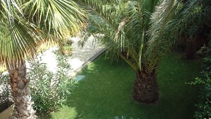 A garden with palm trees and a well-maintained lawn. - T2 MEZZANINE + TERRACE SAINT CYPRIEN BEACH (Saint-Cyprien Plage)