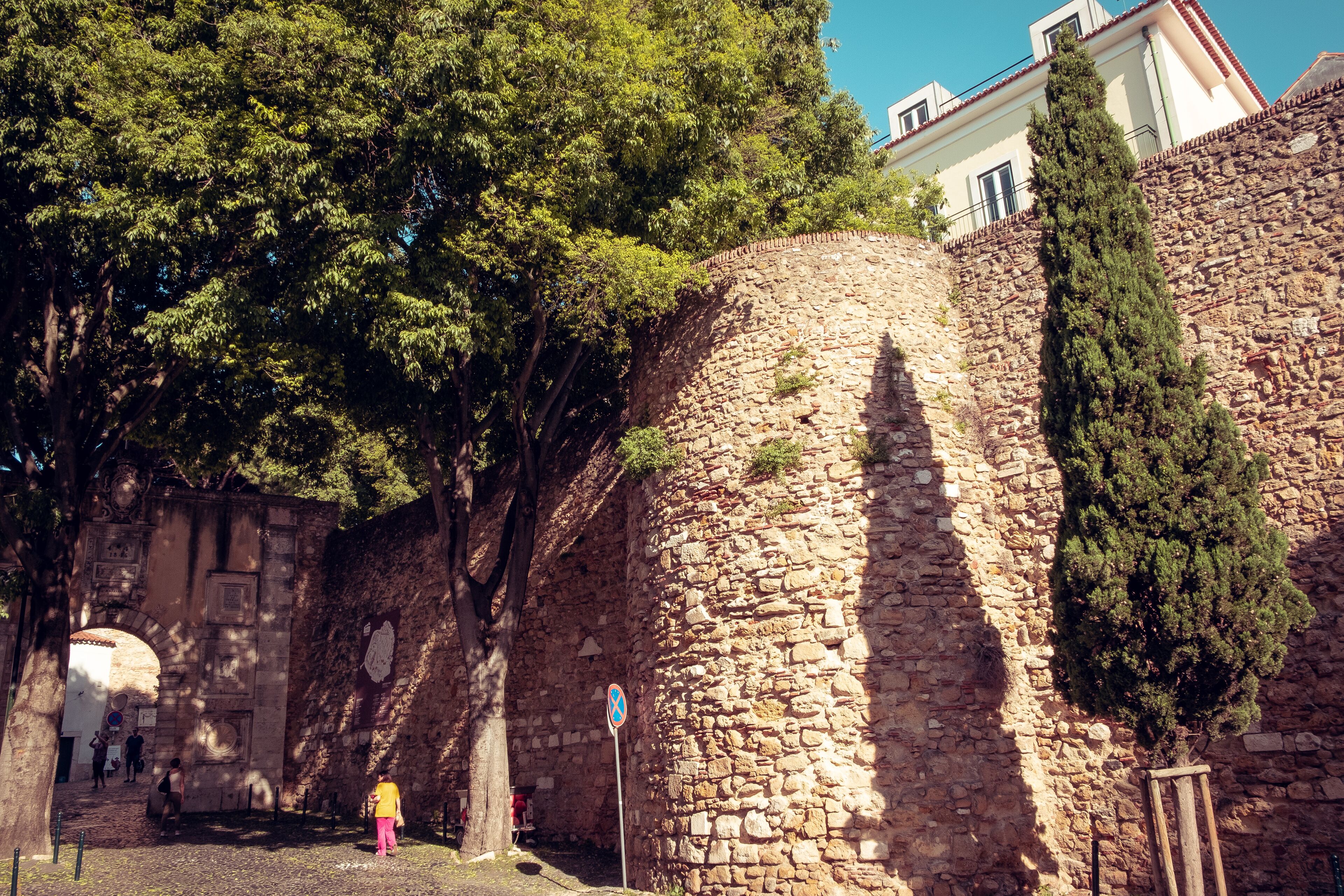 A stone wall with a narrow passageway, a tall tree, and a building in the background.