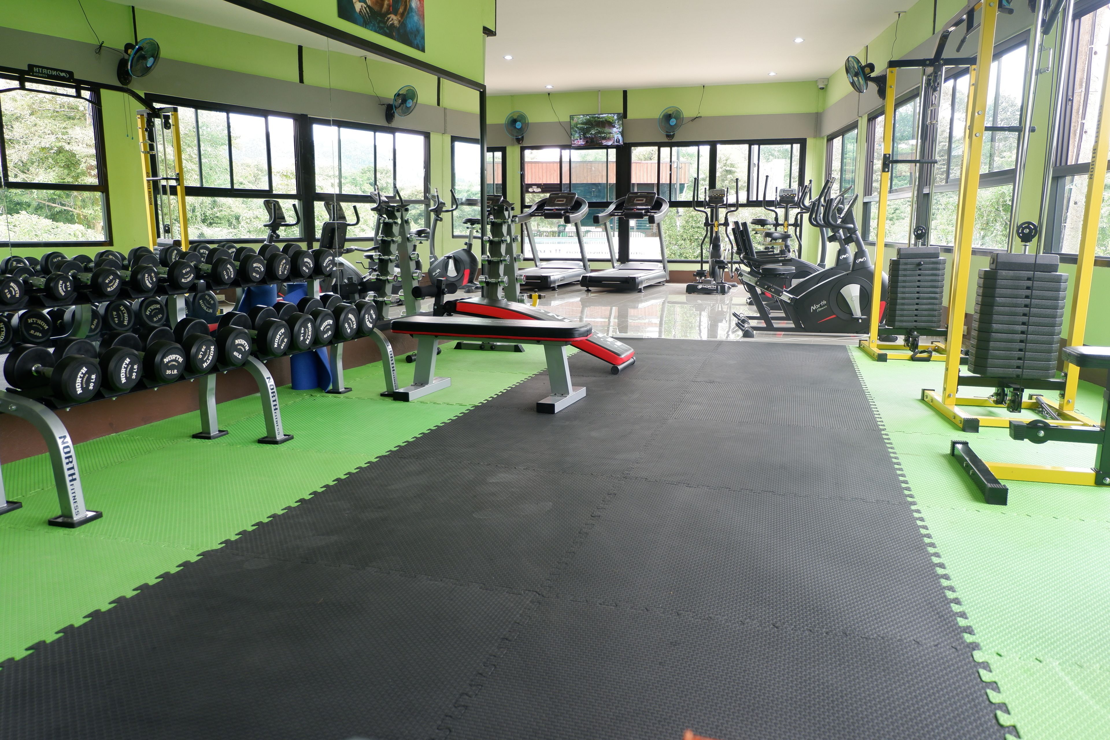 A gym with treadmills, weight machines, and free weights.
