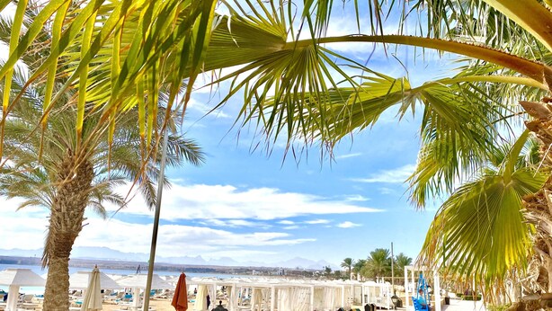 A beachside resort with lounge chairs, umbrellas, and palm trees. - Luxury villa with sea view and pool (Hurghada)