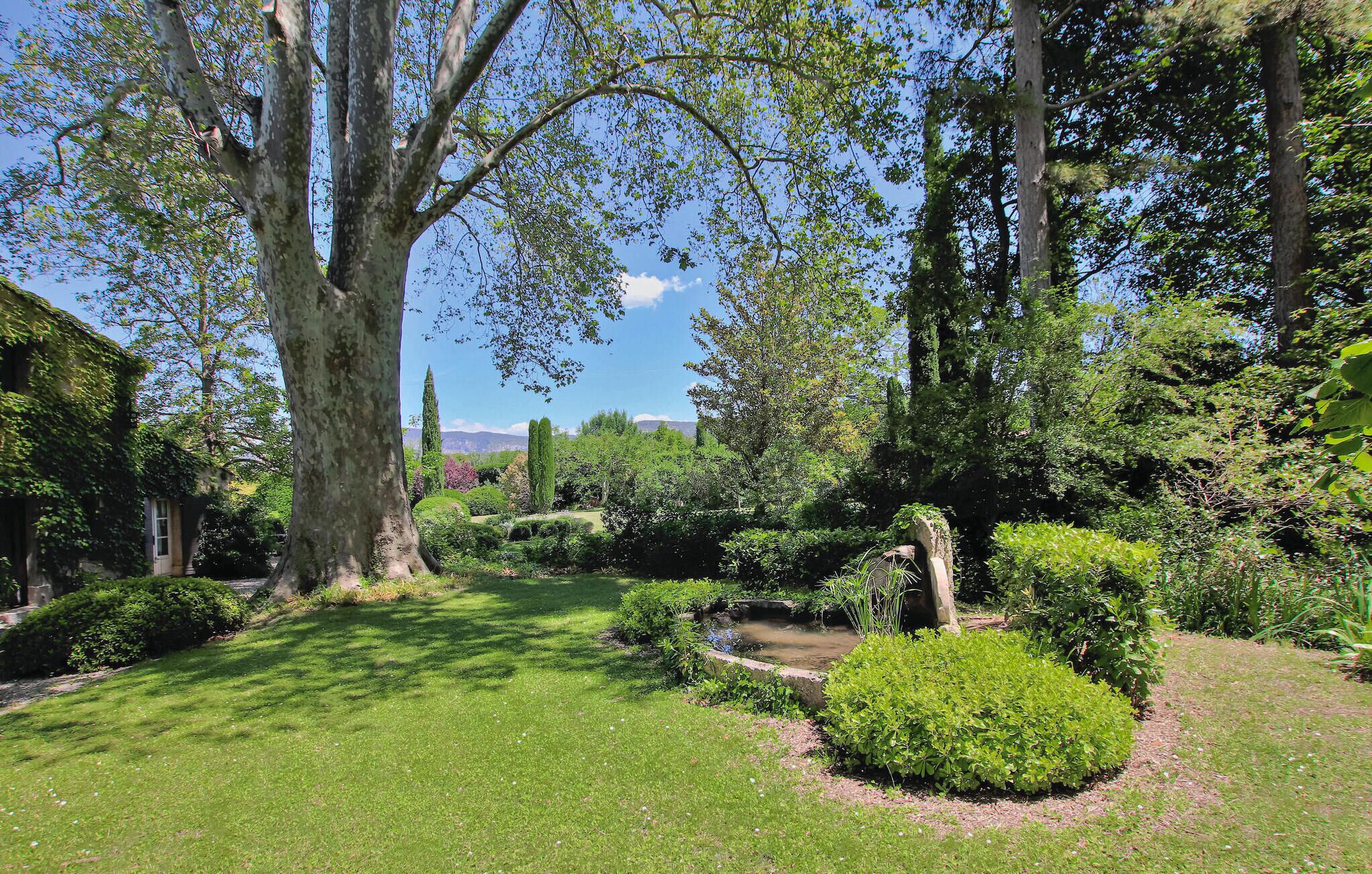 Jardines del alojamiento