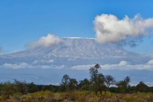 Una montaña con cumbre nevada y cielo azul despejado.