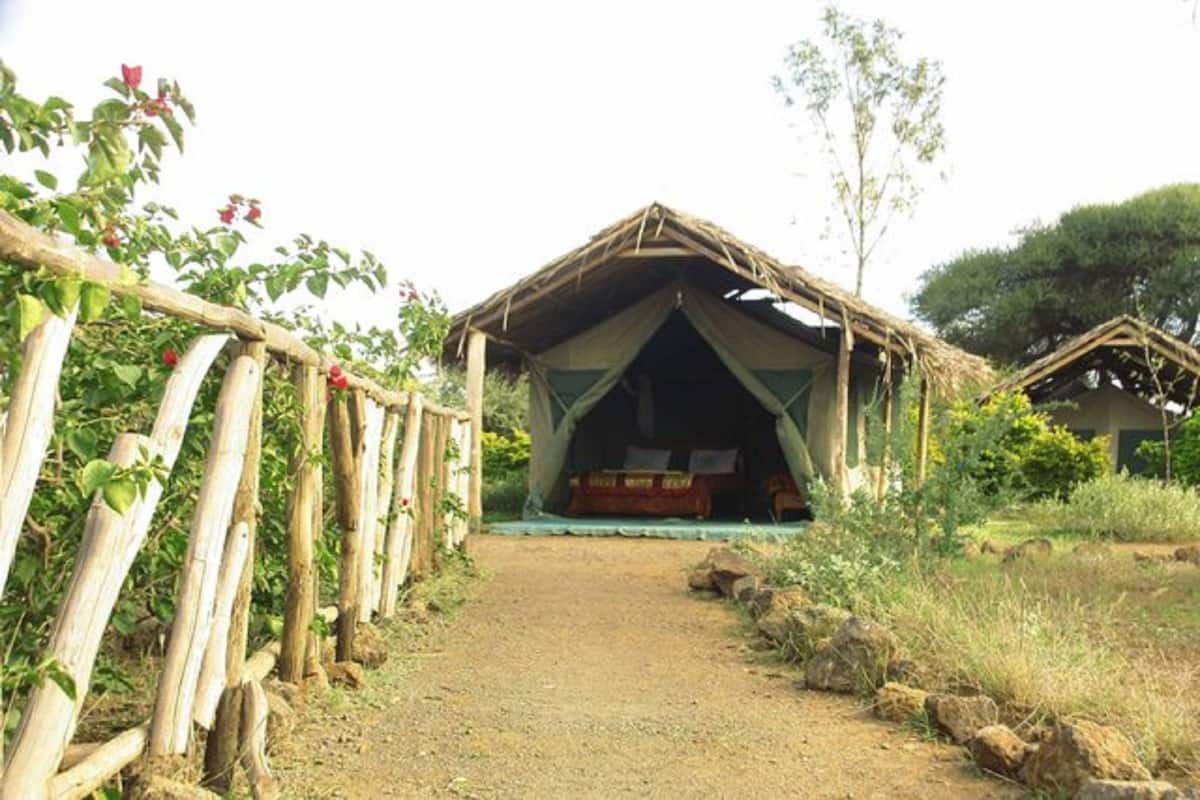 Standard Tent | Premium bedding, bed sheets