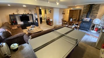 TV, ping pong, video library