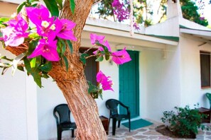 Exterior detail - Myndos Bed & Breakfast (Bodrum)