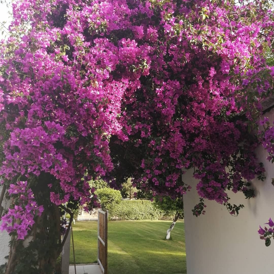 Photo - myndos bed & breakfast