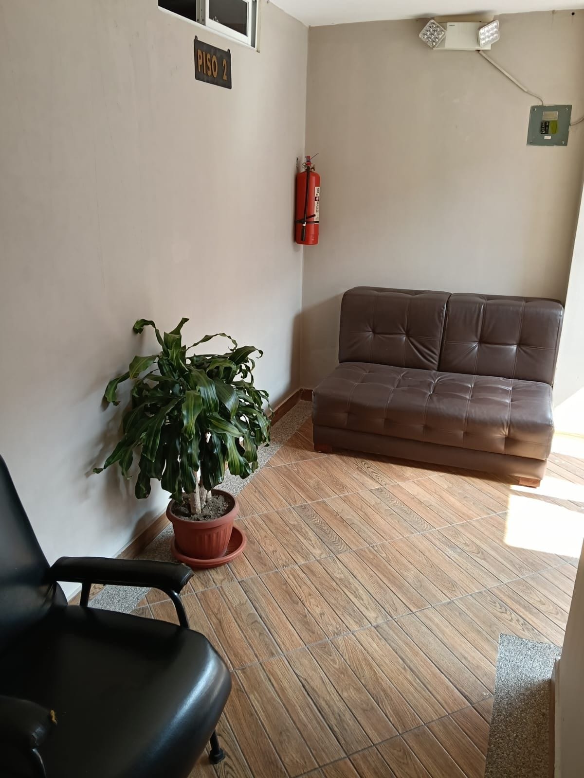 A room with a brown leather sofa, a potted plant, a black chair, and a fire extinguisher on the wall.
