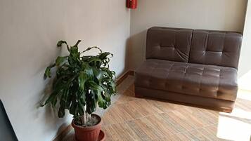 A room with a brown leather sofa, a potted plant, a black chair, and a fire extinguisher on the wall.