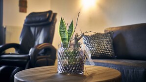 A glass vase with a plant on a wooden table in a living room with a leather chair and a patterned pillow. - Schätzlhof (Ruderting)