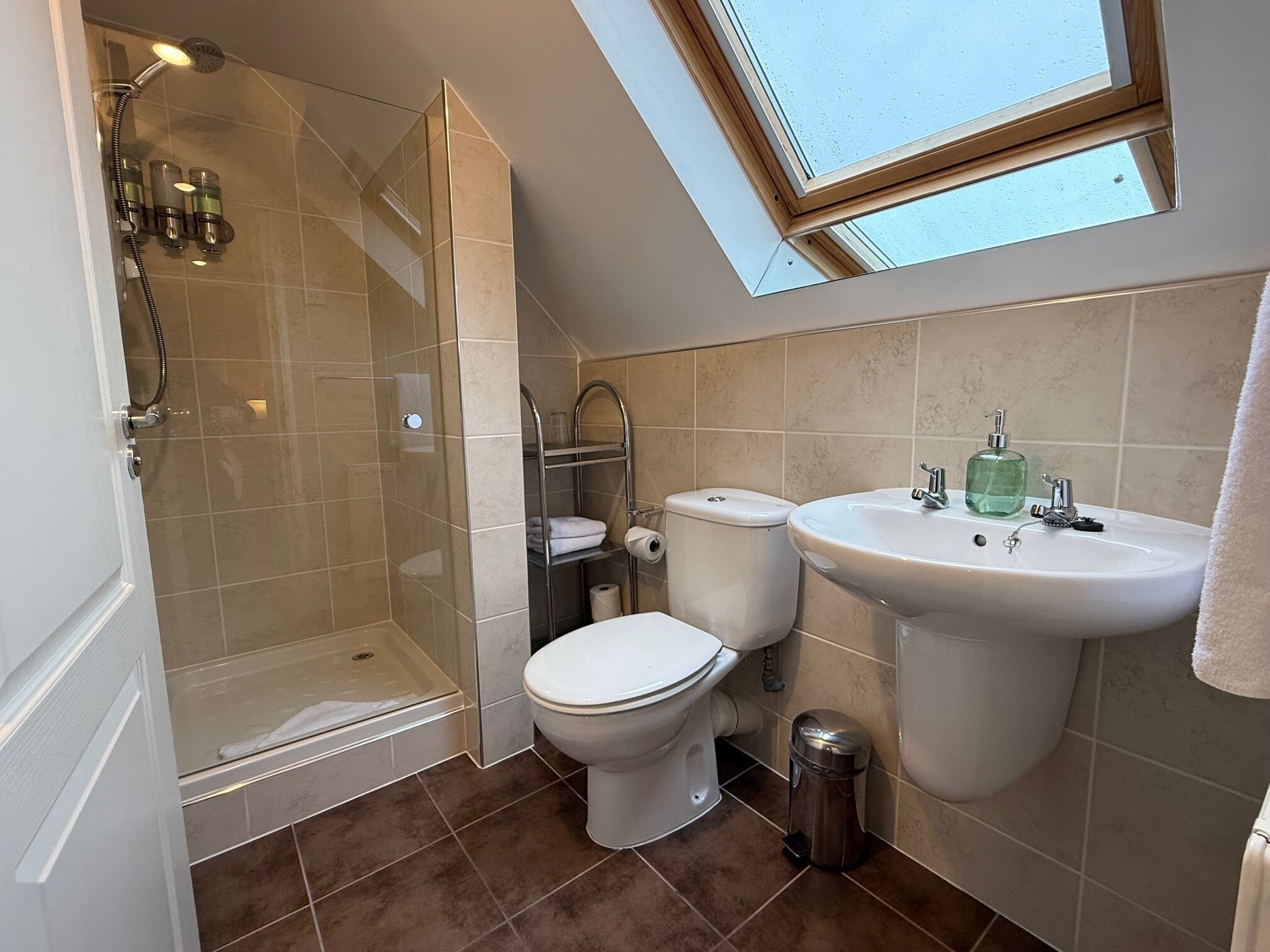 A bathroom with a glass-enclosed shower, two toilets, a sink, and a skylight.
