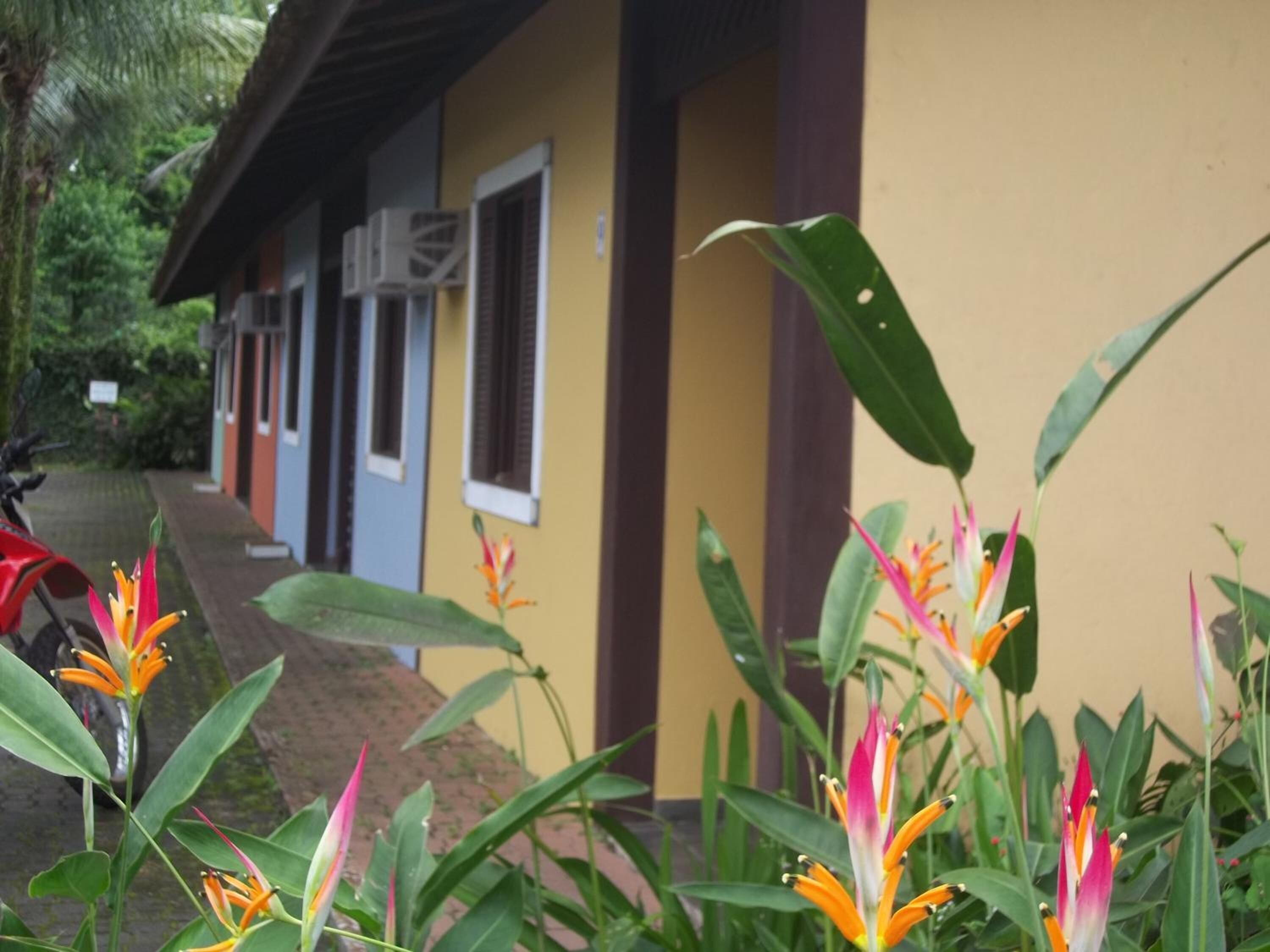 A building with a yellow exterior, a covered walkway, and tropical plants in the foreground.