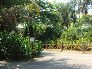 Property grounds - Pousada Das Maritacas (Ilhabela)
