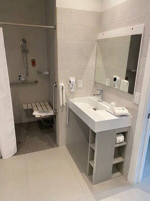 Accessible Room - Hotel Ponce de Leon (Coral Gables)