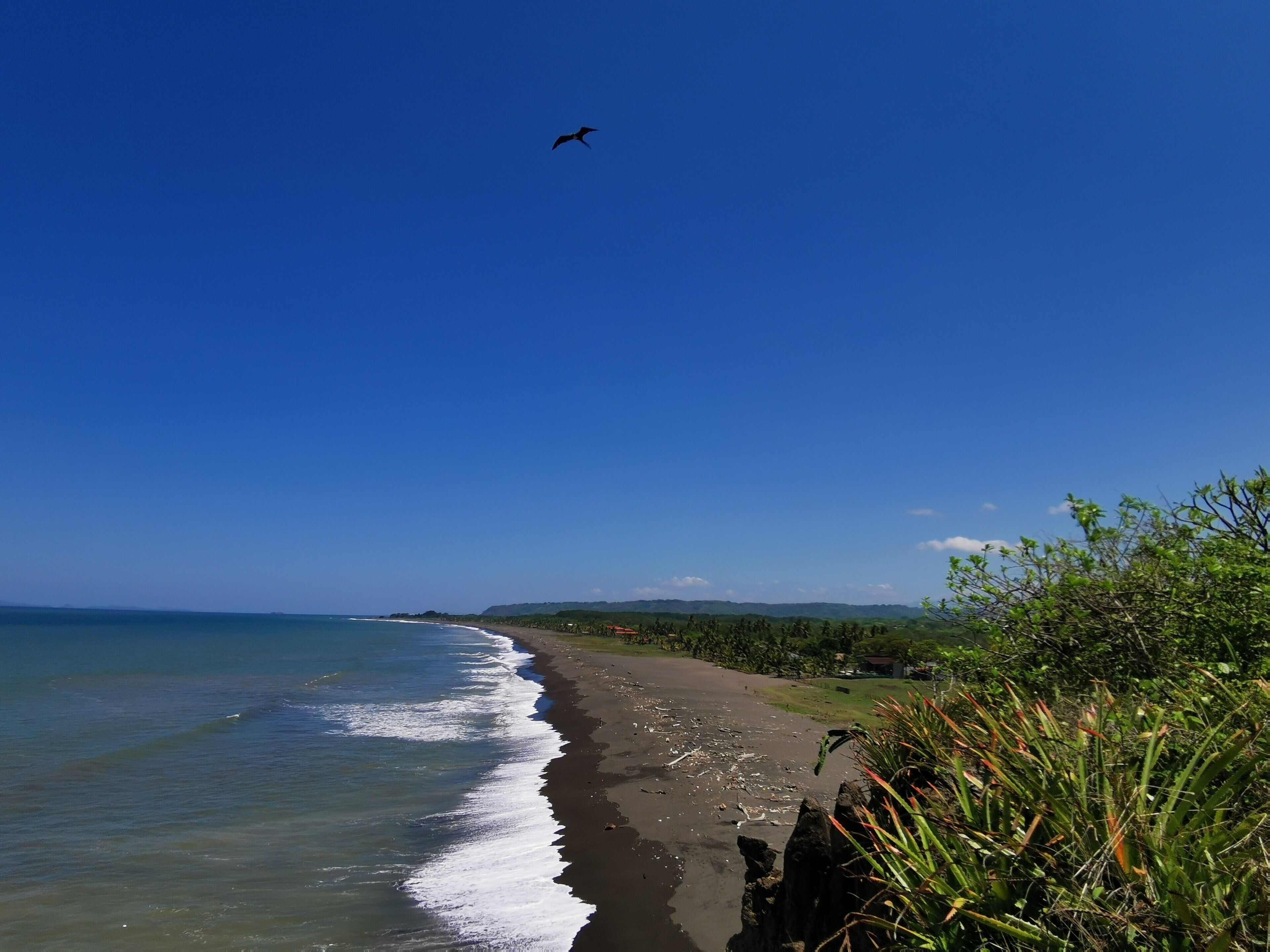 En la playa, camastros y toallas de playa 