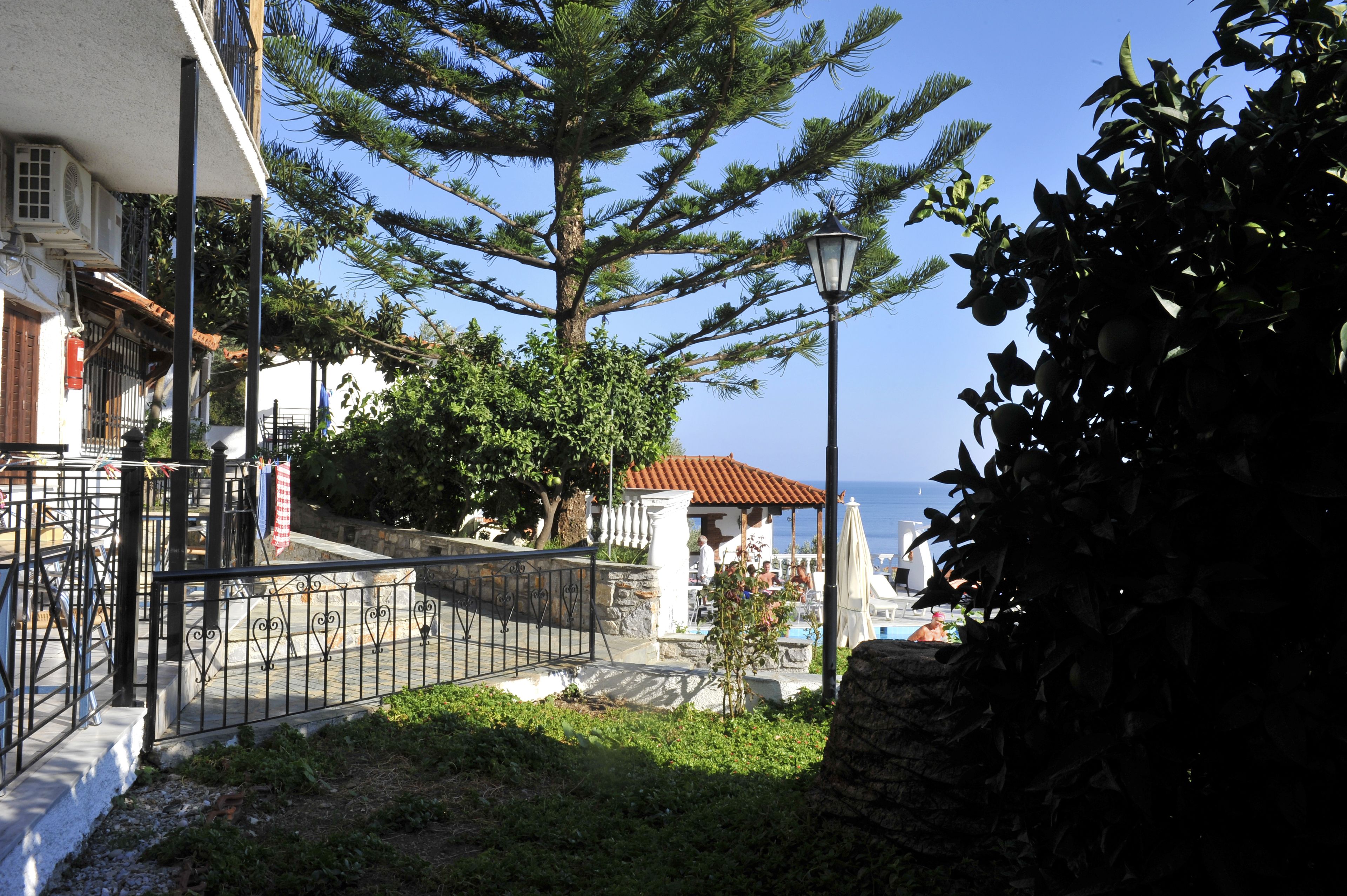 Taman