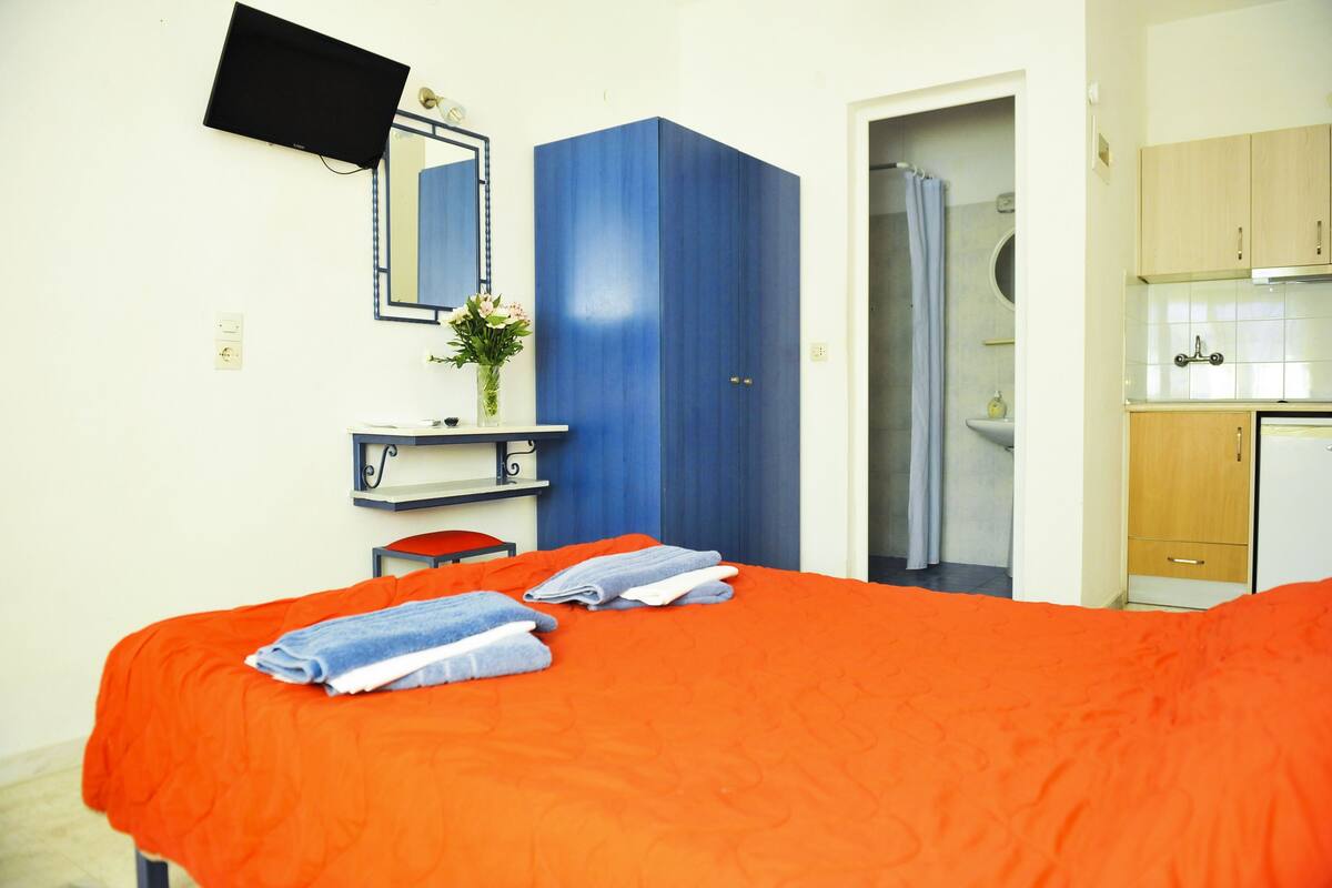 A hotel room with a bed, a TV mounted on the wall, a bathroom with a shower, and a kitchenette.