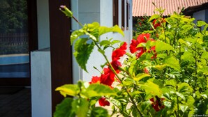 A garden with red flowers and green foliage in front of a building with a tiled roof. - Pipa Casa Eduardo (Tibau do Sul)