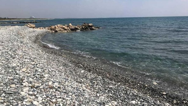 Immagine non classificata, 1 di 17, pulsante