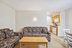 Pull out Sleeper Sofa