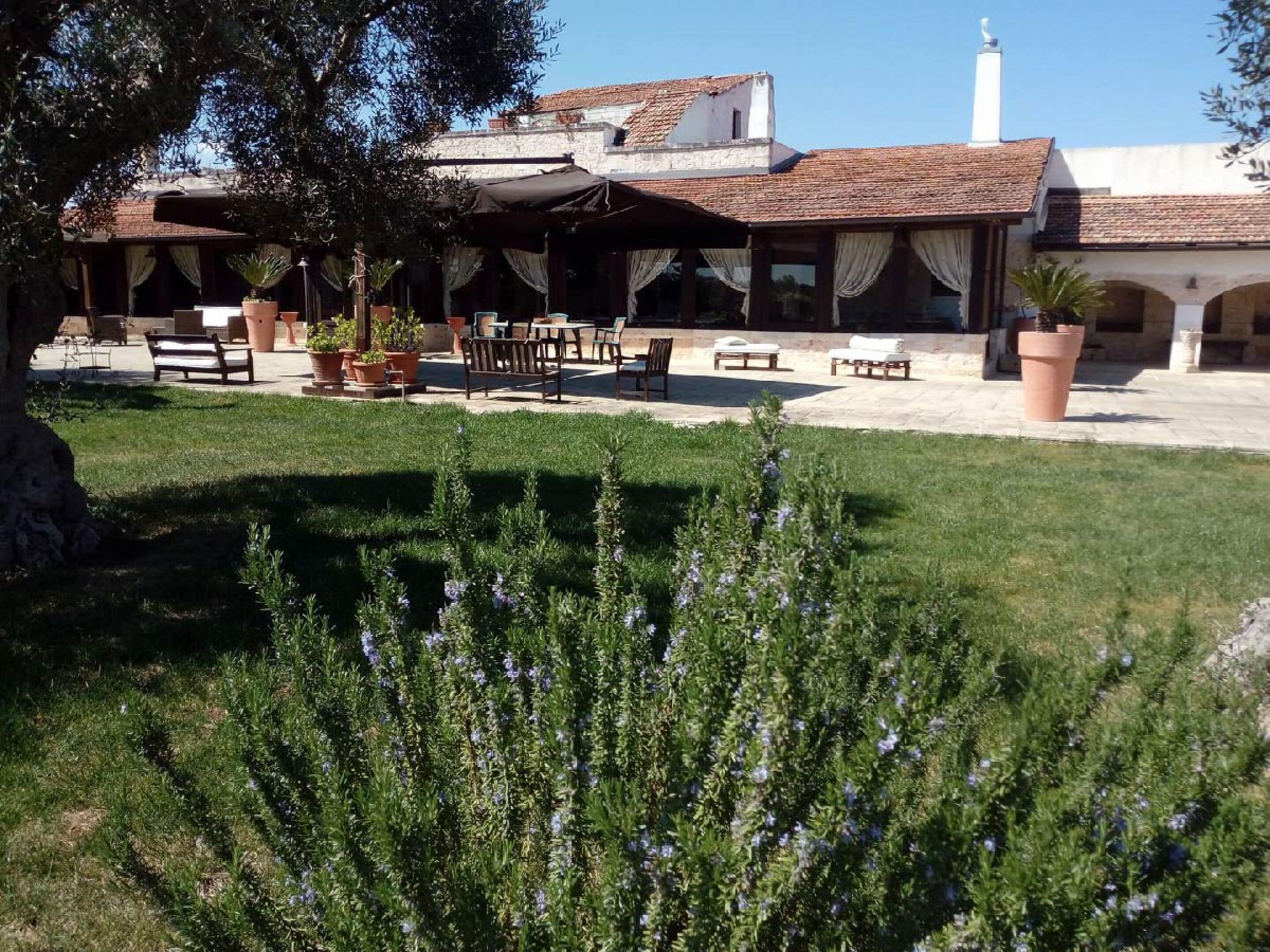 An outdoor seating area with tables and chairs, surrounded by potted plants and a grassy lawn.