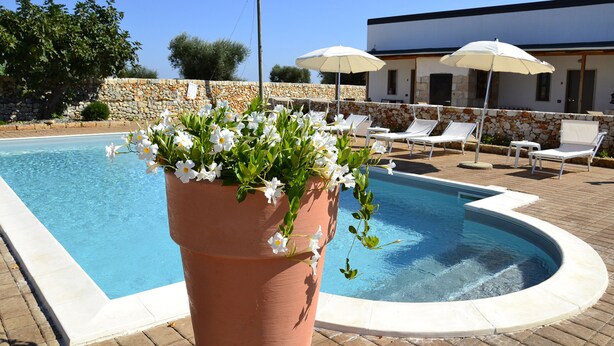 Área da piscina com um vaso de flores, espreguiçadeiras e guarda-sóis.