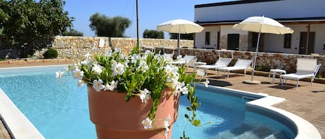 Seasonal outdoor pool, pool umbrellas, sun loungers