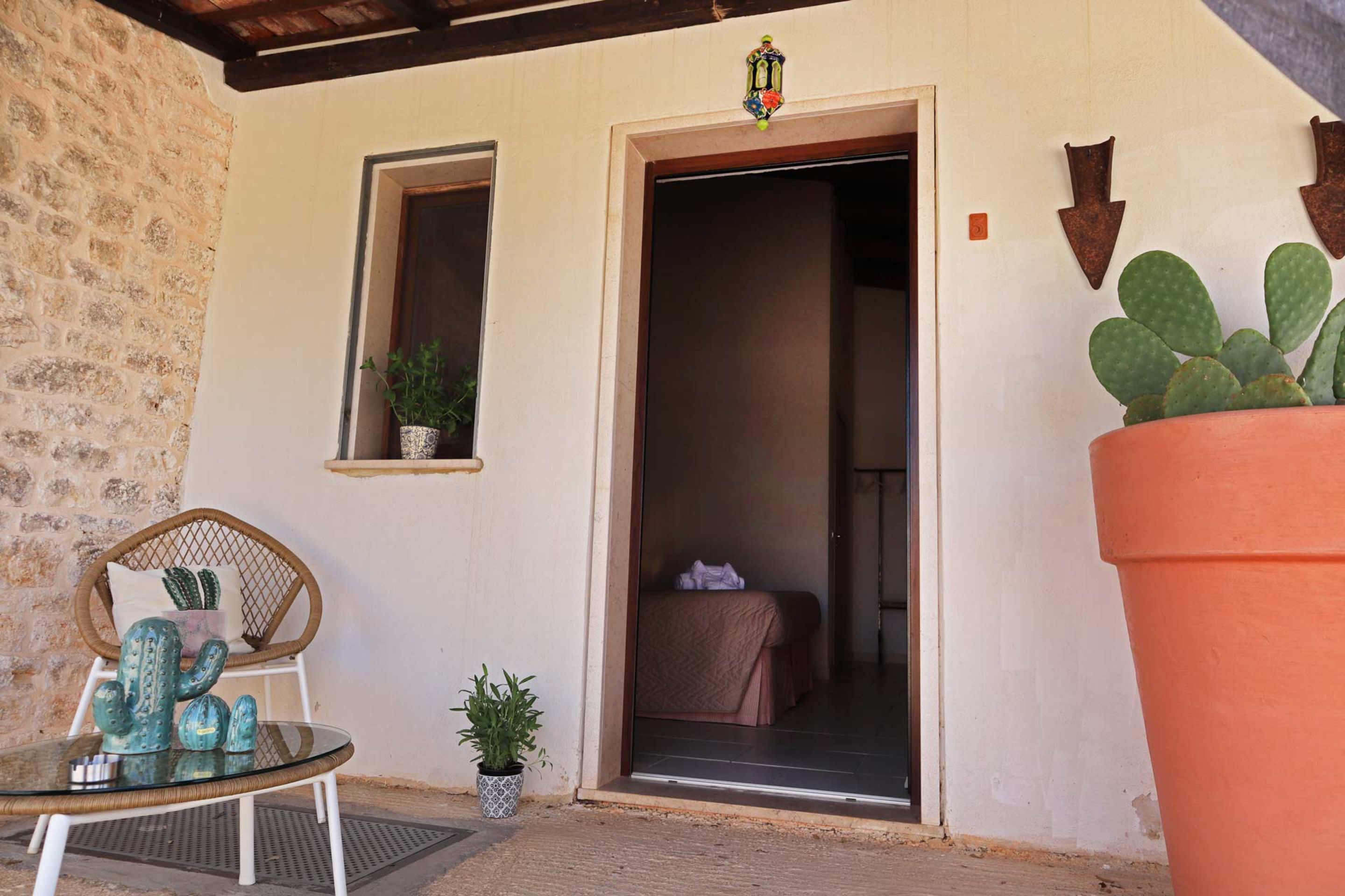 A room with a bed, a window, a door, a chair, and a cactus plant.