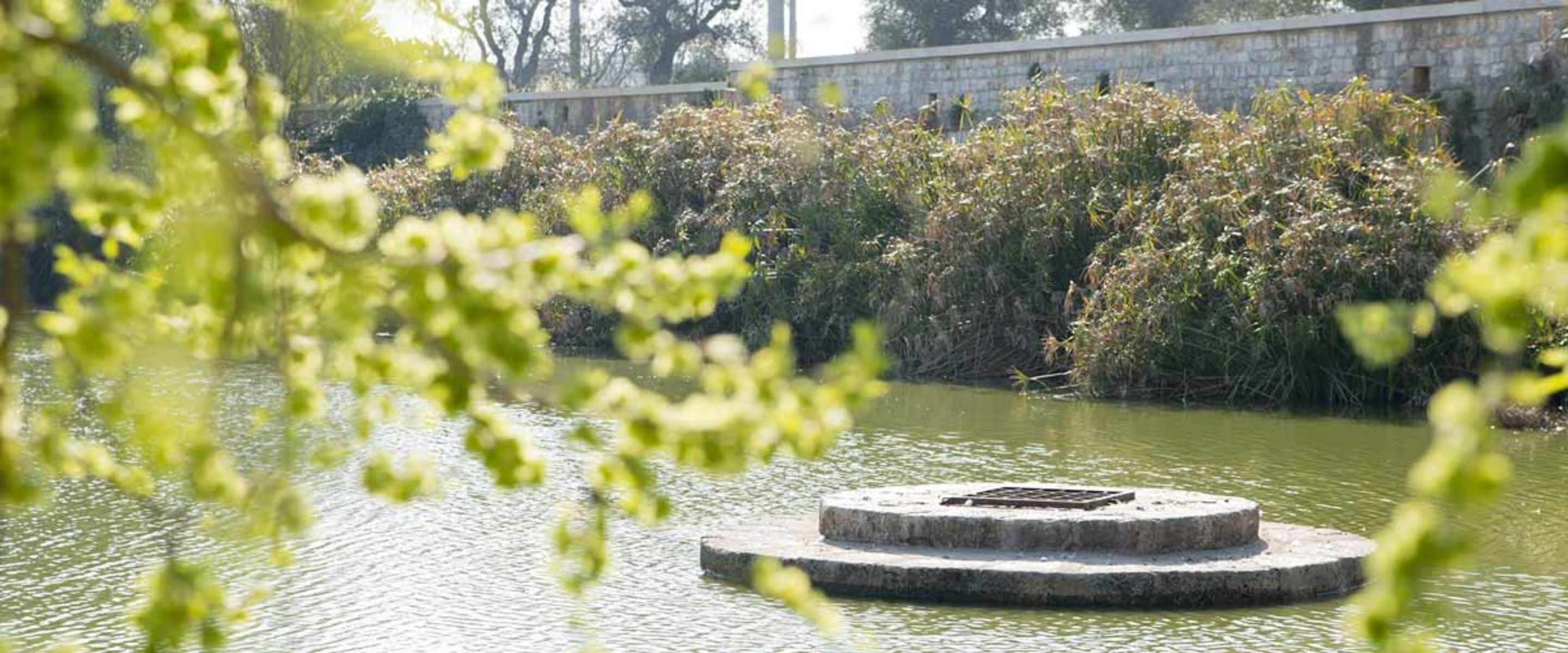 A pond with a circular stone structure in the center, surrounded by dense shrubbery and a stone wall in the background.