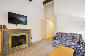 TV, fireplace, books