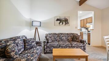 TV, fireplace, books