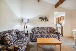 TV, fireplace, books - Deluxe One Bedroom Queen Suite on the 2nd floor with outdoor heated pool 202 (Killington)