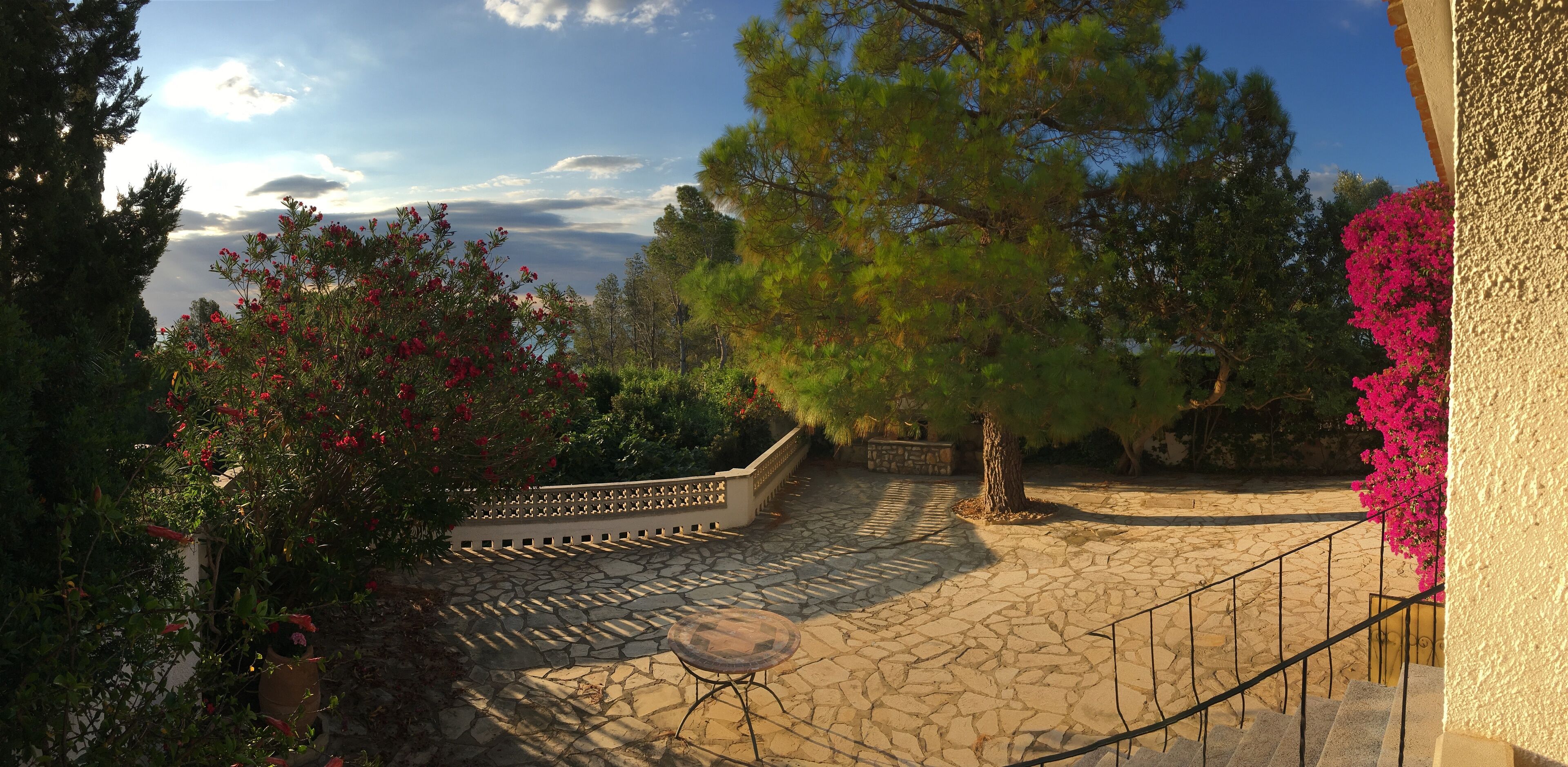 Une cour dallée de pierres, avec un escalier, entourée d’arbres et de plantes en fleurs.