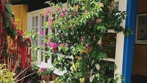 Un edificio amarillo con puerta azul, rodeado de diversas plantas y flores verdes.