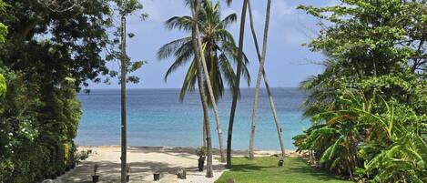 Sun-loungers, beach towels