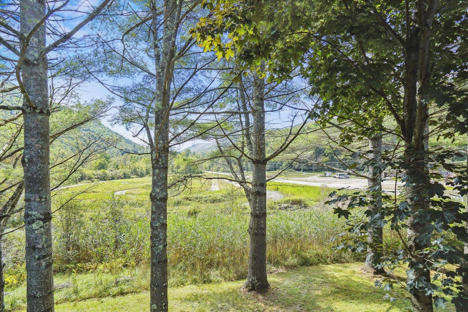 Metsäinen alue, jolta lähtee sorapolkua avoimelle paikalle.