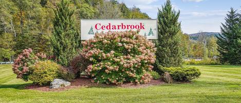 Terrein van de accommodatie