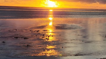 Perto da praia, toalhas de praia