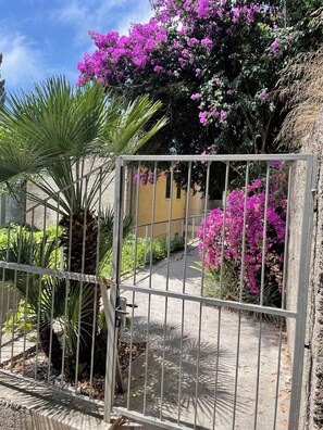 Un espace clos, accessible par un chemin qui mène à un bâtiment, le tout étant entouré d’une végétation luxuriante et de plantes en fleurs.