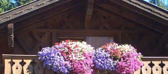 Wetterstein with mountain panorama view