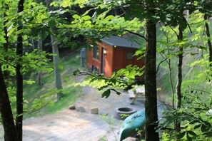 Escape to a secluded cabin surrounded by lush greenery, where a simple path leads to a cozy retreat.
