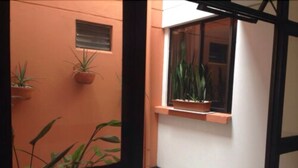 Un couloir étroit, avec des plantes en pot disposées le long des murs et une fenêtre donnant sur un paysage verdoyant.