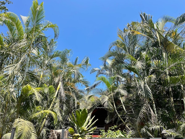 Caja de seguridad en la habitación, wifi gratis y ropa de cama