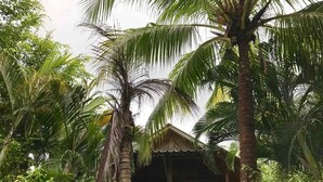 A rustic hut with a thatched roof surrounded by lush palm trees. - Beach Cabinas (Cóbano)