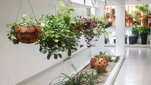 A hallway with hanging planters and a decorative pumpkin sculpture. - Hotel Encantos De Penedo (Penedo)