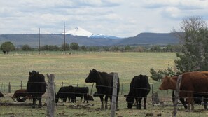 Nicht klassifiziertes Bild, 2 von 7, Schaltfläche