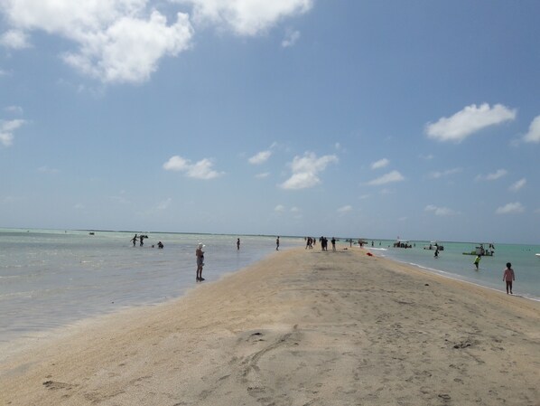 Beach - Solar de Maragogi - AL (Maragogi)