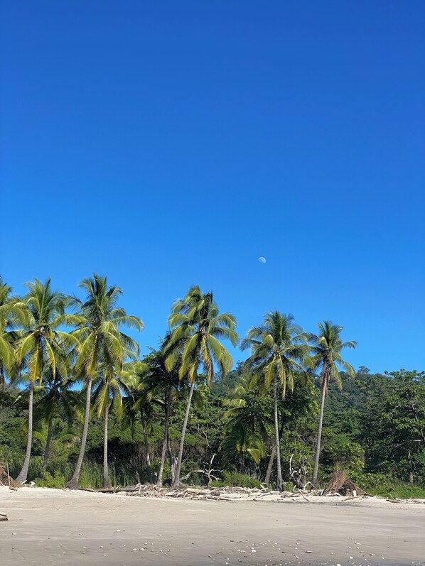 Beach nearby - Casa Piscina Santa Teresa (Cóbano)