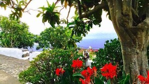 A garden with red flowers and a view of the ocean.
